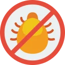 Termite Proof